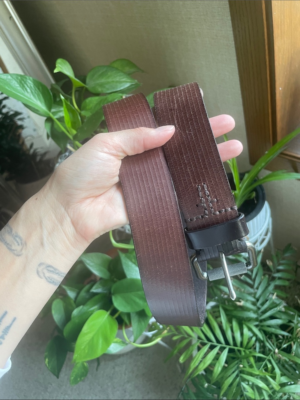 FRYE Genuine Leather Brown Belt - Classic Dark Brown 36